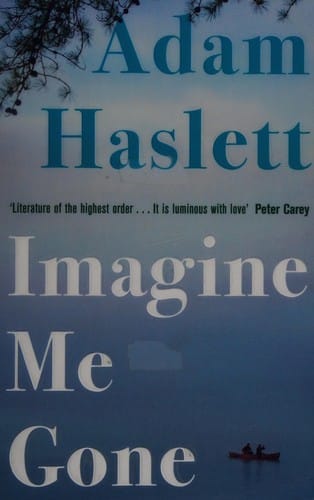 Imagine me gone: a novel