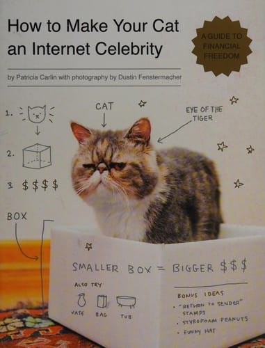 How to make your cat an internet celebrity: a guide to financial freedom