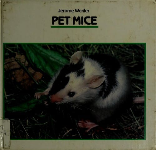 Pet mice