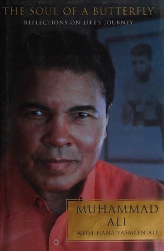 The soul of a butterfly: reflections on life's journey