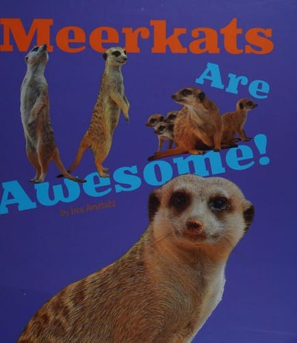 Meerkats are awesome!