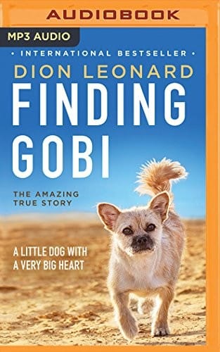 Finding Gobi
