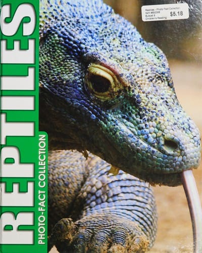 Reptiles