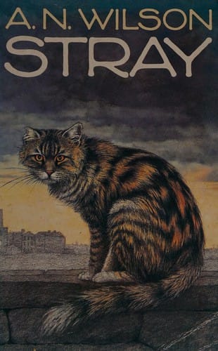 Stray.