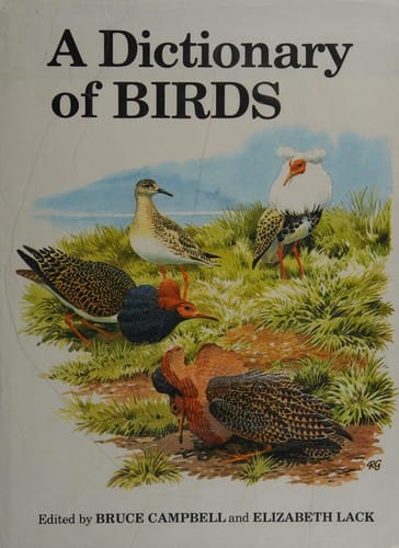 A dictionary of birds