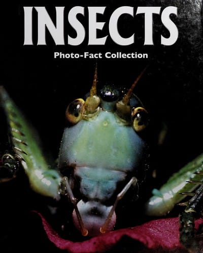Insects: [photo-fact collection]