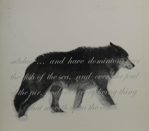 Maison de loup: Mary Anne Barkhouse at the Visual Arts Centre at Clarington, September 11-October 9, 2011