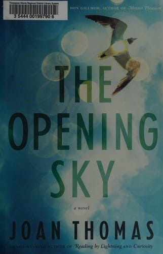 The opening sky