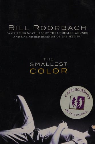 The smallest color: a novel