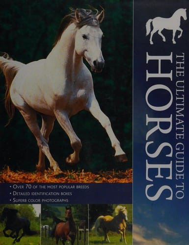 The ultimate guide to horses
