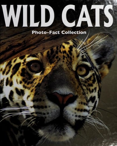 Wild cats
