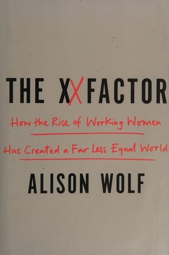 The XX factor: how the rise of working women has created a far less equal world
