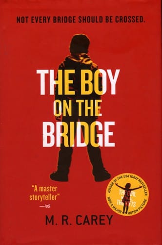 The boy on the bridge