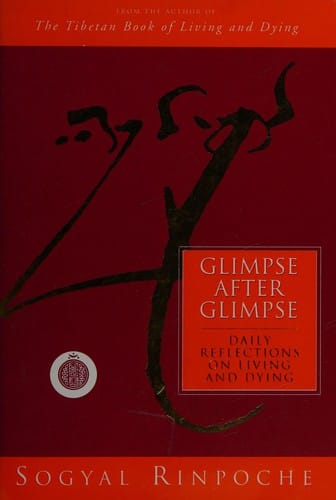 Glimpse after glimpse: daily reflections on living anddying