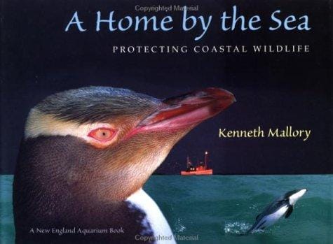 A home by the sea: protecting coastal wildlife