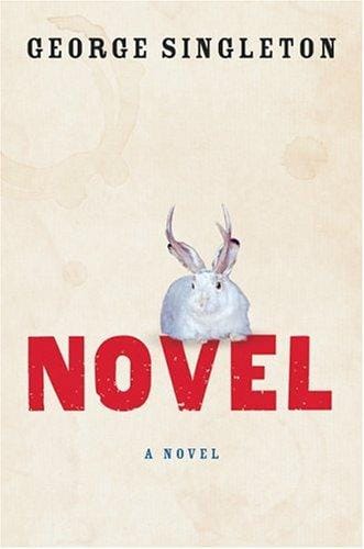 Novel