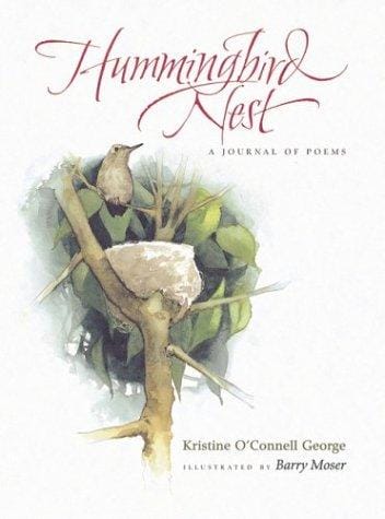 Hummingbird nest: a journal of poems