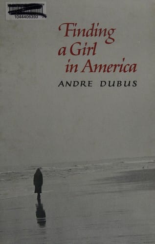 Finding a girl in America: a novella and ten short stories