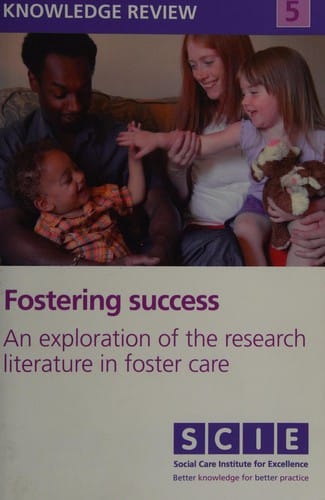 Fostering success: an exploration of the research literature in foster care