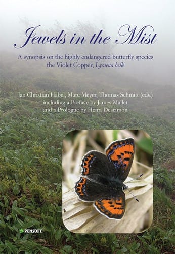 Jewels in the Mist: A synopsis on the highly endangered butterfly species the Violet Copper, Lycaena helle