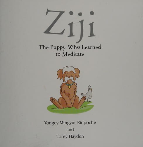 Ziji, the puppy who learned to meditate