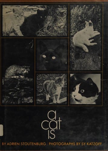 A cat is.