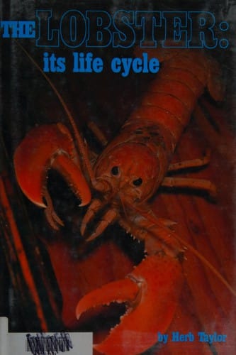 The lobster, its life cycle