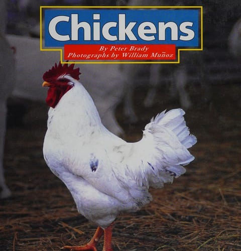 Chickens (Farm Animals)