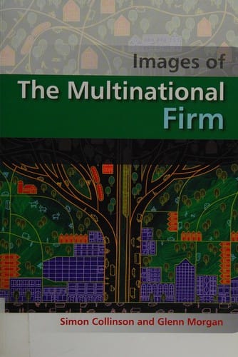 The Multinational Firm (Images of Business Strategy)