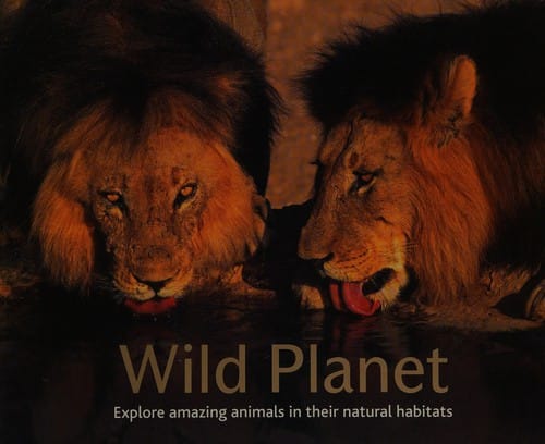 Wild planet: explore amazing animals in their natural habitats