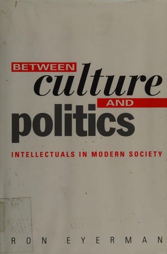 Between culture and politics: intellectuals in modern society
