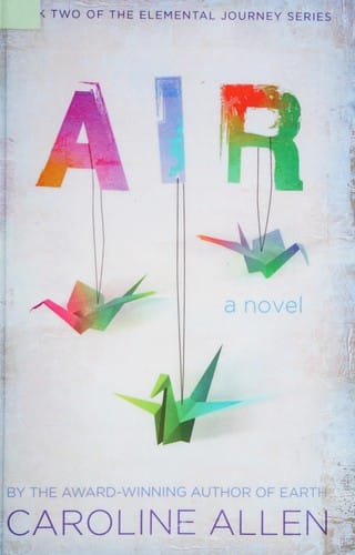 Air: a novel