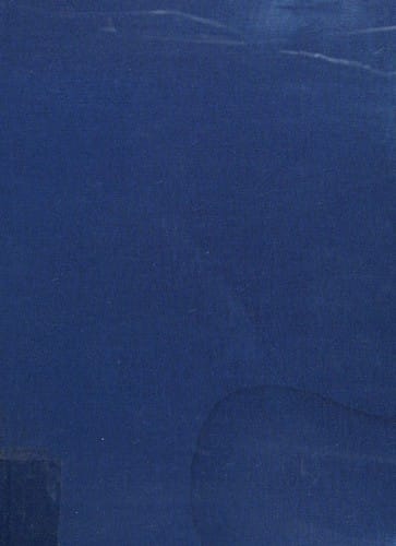 The great American thing: modern art and national identity, 1915-1935