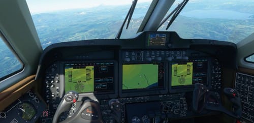 Hamburgers and Fries: An American Story