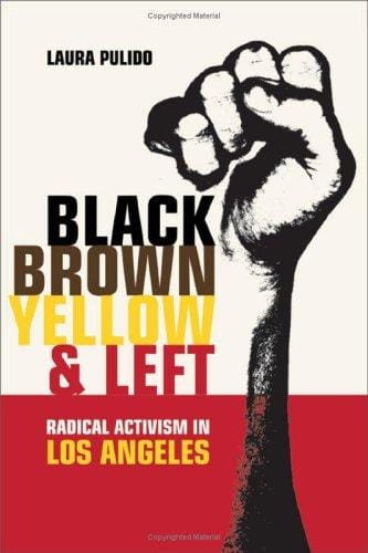 Black, brown, yellow, and left: radical activism in Southern California
