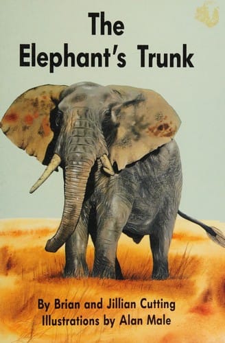 The elephant's trunk