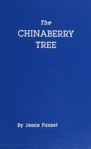 The Chinaberry Tree: A Novel of American Life