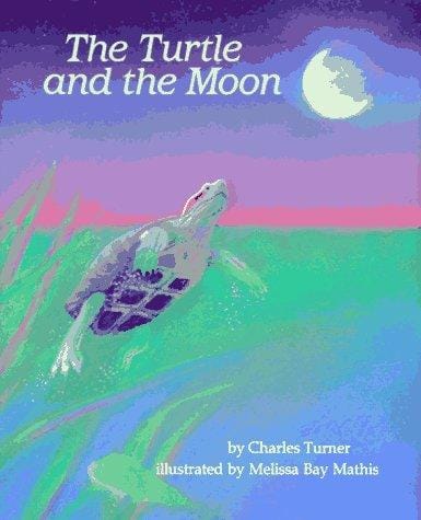 The turtle and the moon