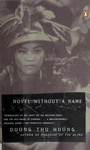 Novel without a Name