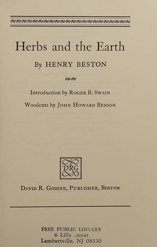 Herbs and the earth