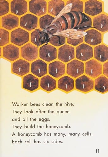 Honey bees