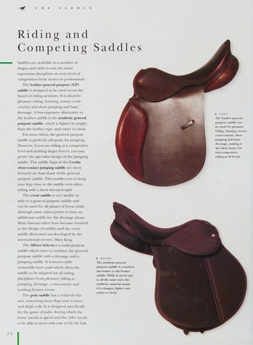 The complete horse and rider: a practical handbook of riding and an illustrated guide to riding tack