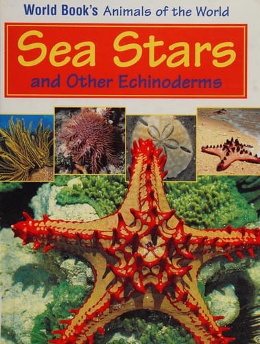 Baboons and other old world monkeys