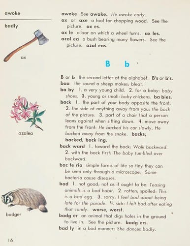 My second picture dictionary