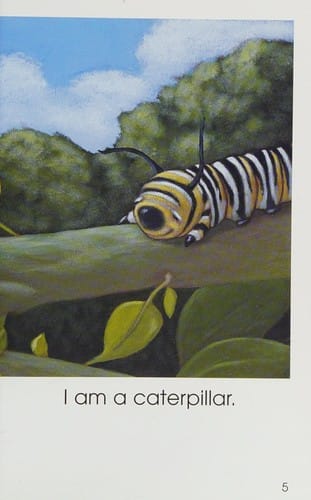 Caterpillar