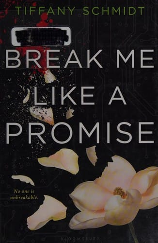 Break me like a promise