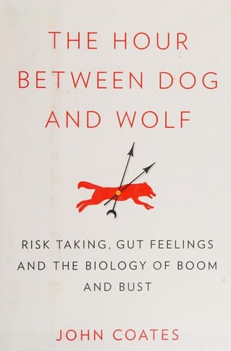 The hour between dog and wolf: risk-taking, gut feelings and the biology of boom and bust