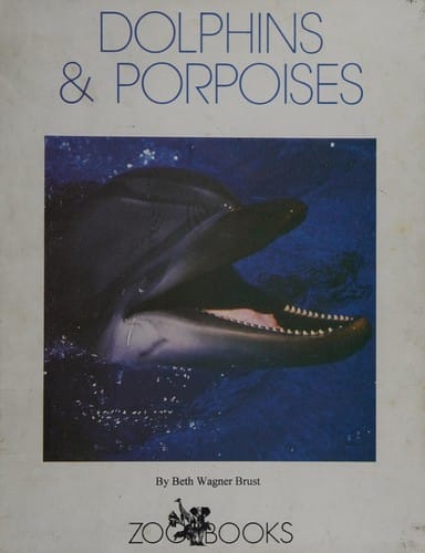 Dolphins and porpoises
