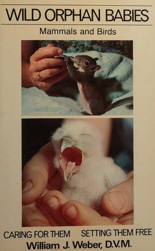 Wild orphan babies: mammals and birds : caring for them & setting them free