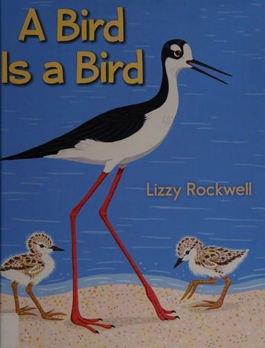 A bird is a bird